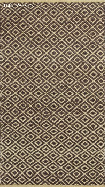 Izteca Mocha 5x8 Rug