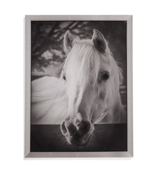 Tapit Framed Print