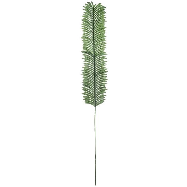 Cyrus Cycas Fern Stem