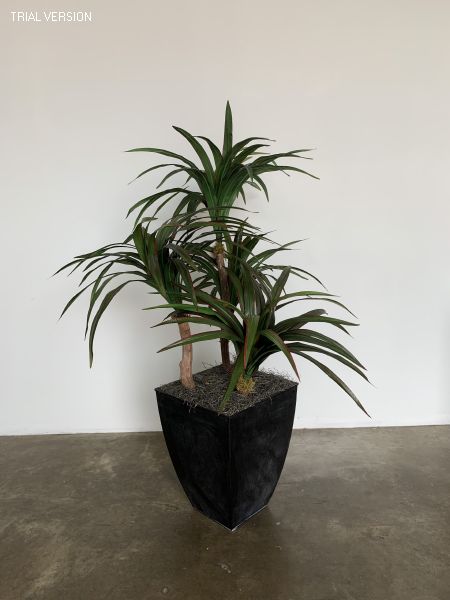 Sivana Floor Plant