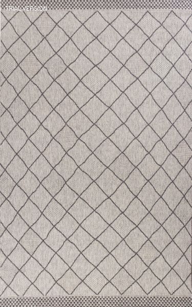 Roda Grey 5x8 Rug