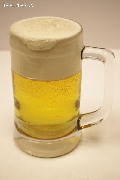 Beer Mug