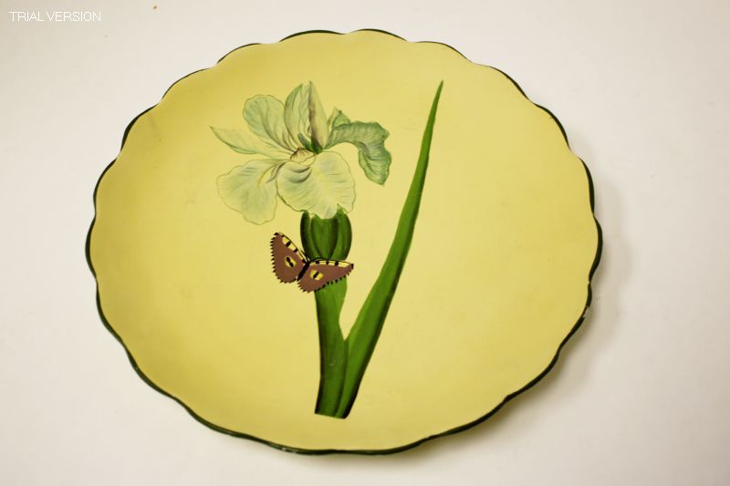 Plate Botanical