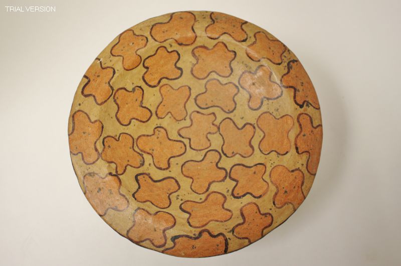 Plate Animal Print