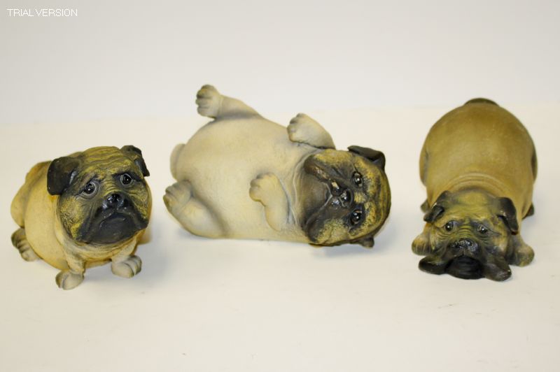 Pugs