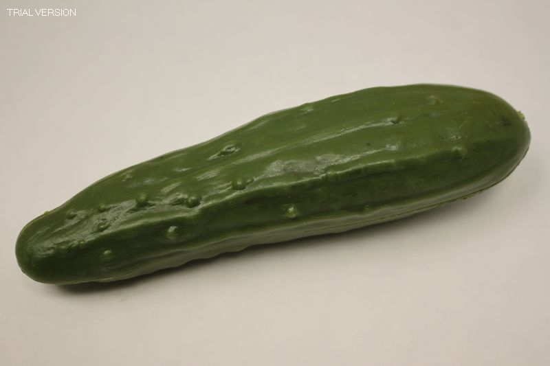 Cucumber