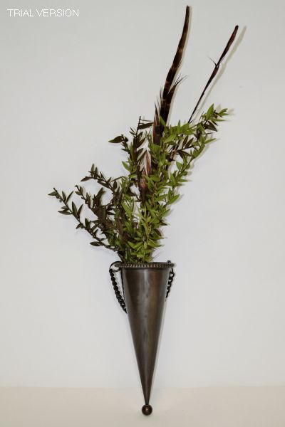 Greenery In Vase