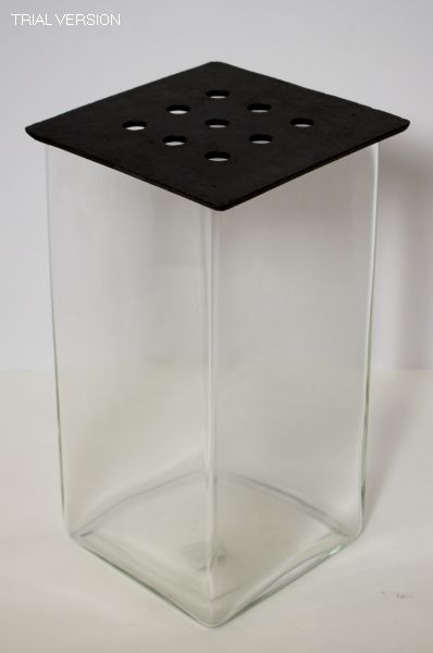 Vase Square Glass W/Lid