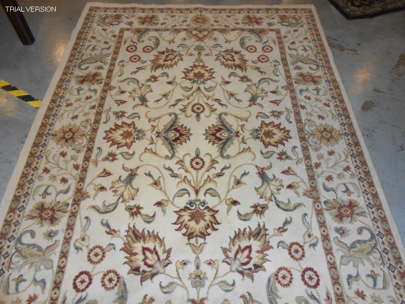 Vanessa 5x8 Rug