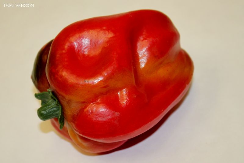 First Red Bell Pepper