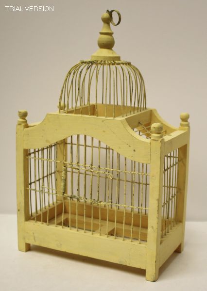 Bird Cage Yellow