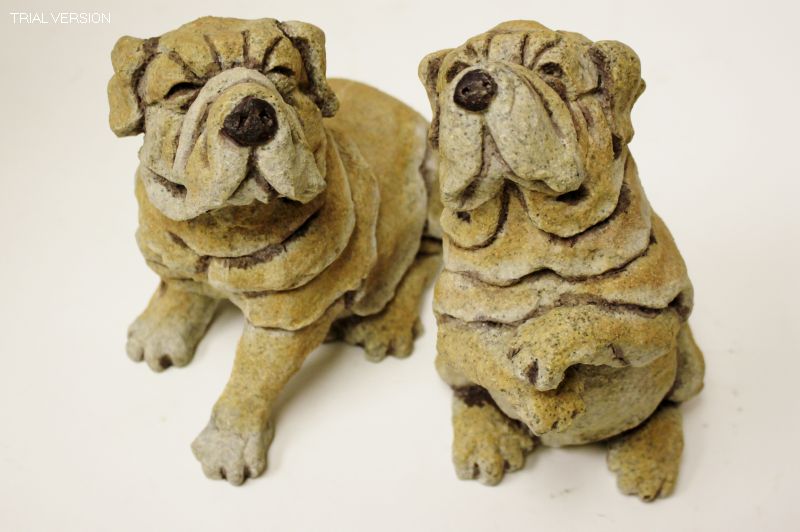 Pr Of 2 Sharpei Garden Statue