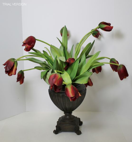 Tulips In Brown Urn