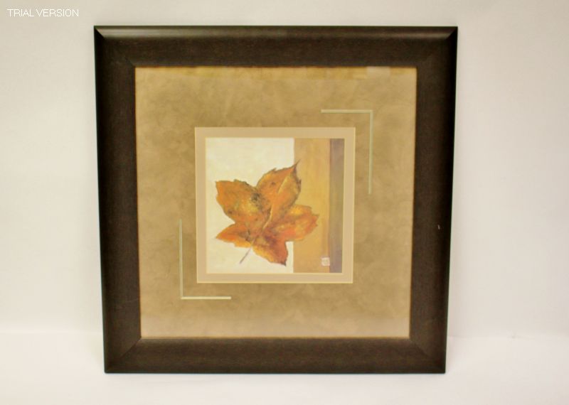 Impression Leaf In Umber