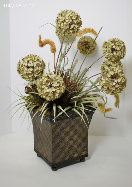 Floral Allium W/ Gold Pot