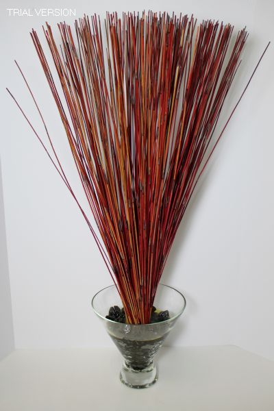 Red Reeds In Glass Container