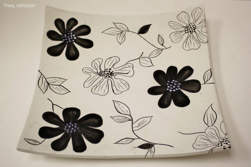 Flower Plate-b&w Small