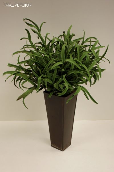 Tall Pot W/Grass