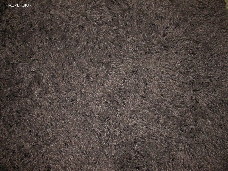 Twilight Black 5x8 Shag Rug