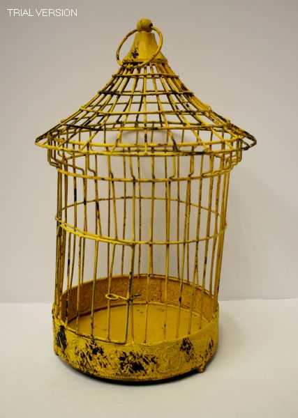 Gwinny Birdcages-Yellow