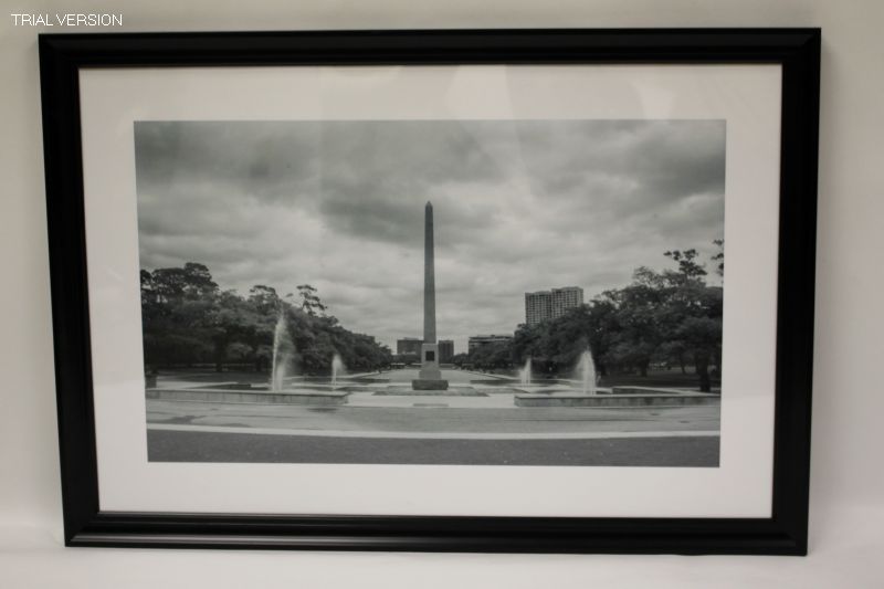 Cityscapes Print: Hermann Park Obelisk