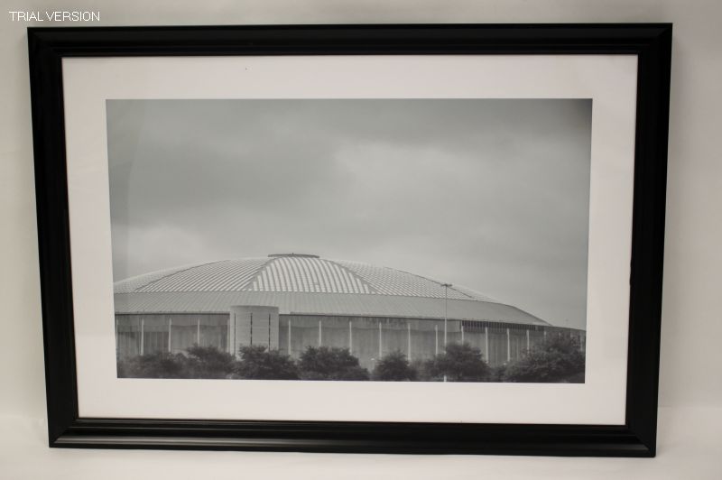 Cityscapes Print: Astrodome Iii