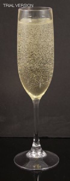 Champagne Glass