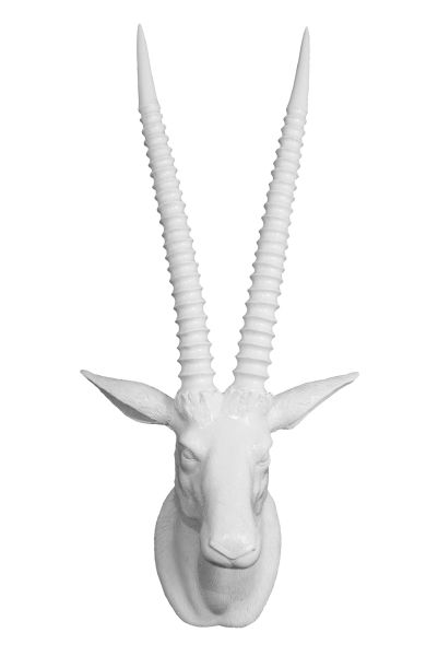 Antelope Wall Decor